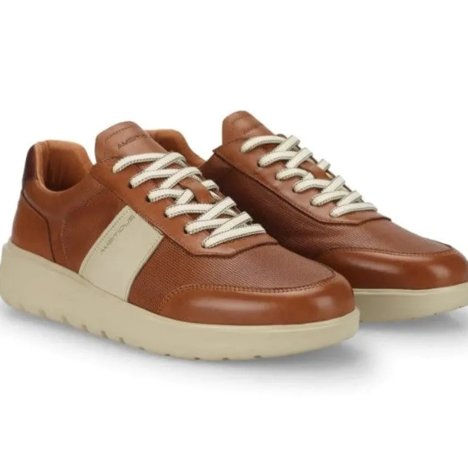 ambitious_hover_leather_t_1.webp Ambitious Casual*Hover Leather Trainer 12863-COGNAC