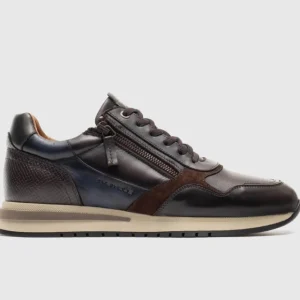 Ambitious Casual*Temple 13719 Sneakers TDM BROWN