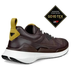 ECCO Walking | Waterproof Shoes & Boots*Biom 2.2 Gore-Tex 830814-MOCCA