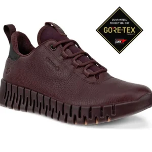 ECCO Waterproof Shoes And Boots | Walking Shoes*Gruuv Gore-Tex 218233-FIG