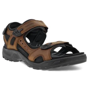 ECCO Walking | Sandals*Offroad Sandal 822184-BROWN