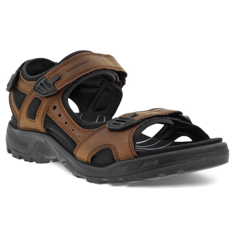 ecco_offroad_sandal_brown_0.webp ECCO Walking | Sandals*Offroad Sandal 822184-BROWN