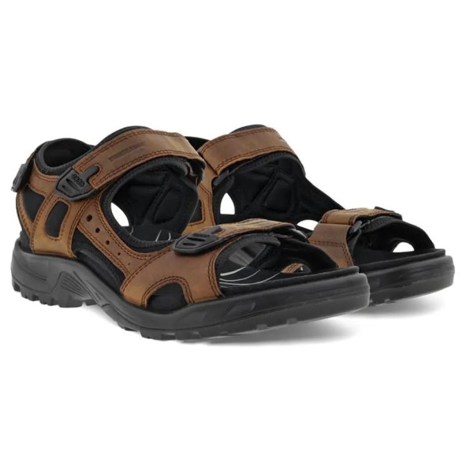 ecco_offroad_sandal_brown_1.webp ECCO Walking | Sandals*Offroad Sandal 822184-BROWN