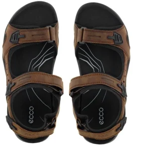 ECCO Walking | Sandals*Offroad Sandal 822184-BROWN