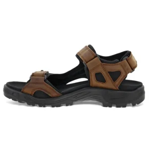 ECCO Walking | Sandals*Offroad Sandal 822184-BROWN