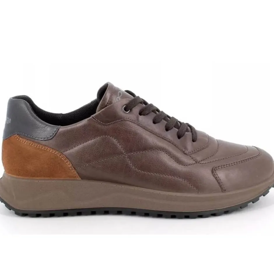 igi_u_co_casual_leather_s_1-1.webp Igi u0026 Co. Casual*Igi u0026 Co Casual Leather shoe 46407 -BROWN