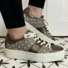 Nero Giardini Casual Shoes | Trainers*NeroGiardini I411614D Leather Trainer Moro Brown