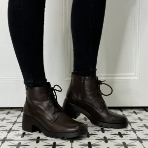 Pepe Menargues Ankle Boots*21204 Laced Ankle Boots-BROWN